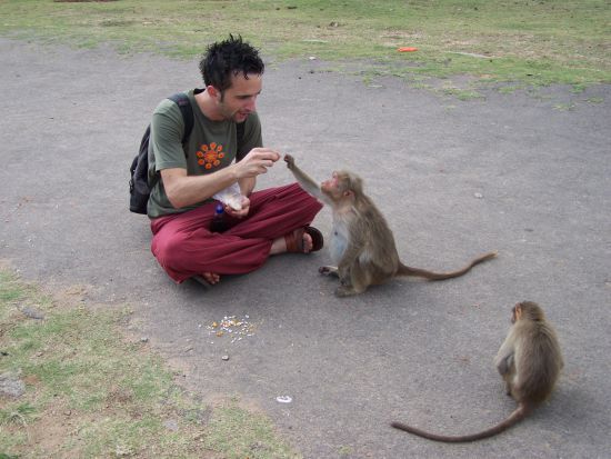 Entre singes ...