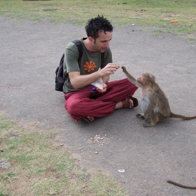 Entre singes ...